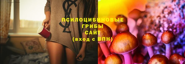 PSILOCYBIN Абинск